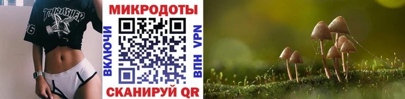 Псилоцибиновые грибы мицелий купить наркоту Струнино